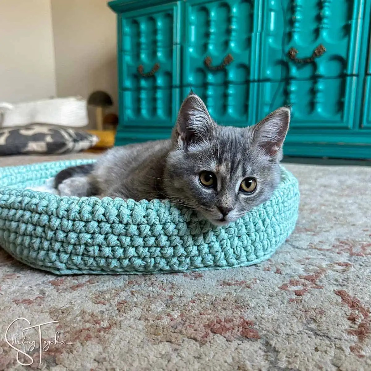 Cozy Crochet Cat Bed Pattern Free & Easy