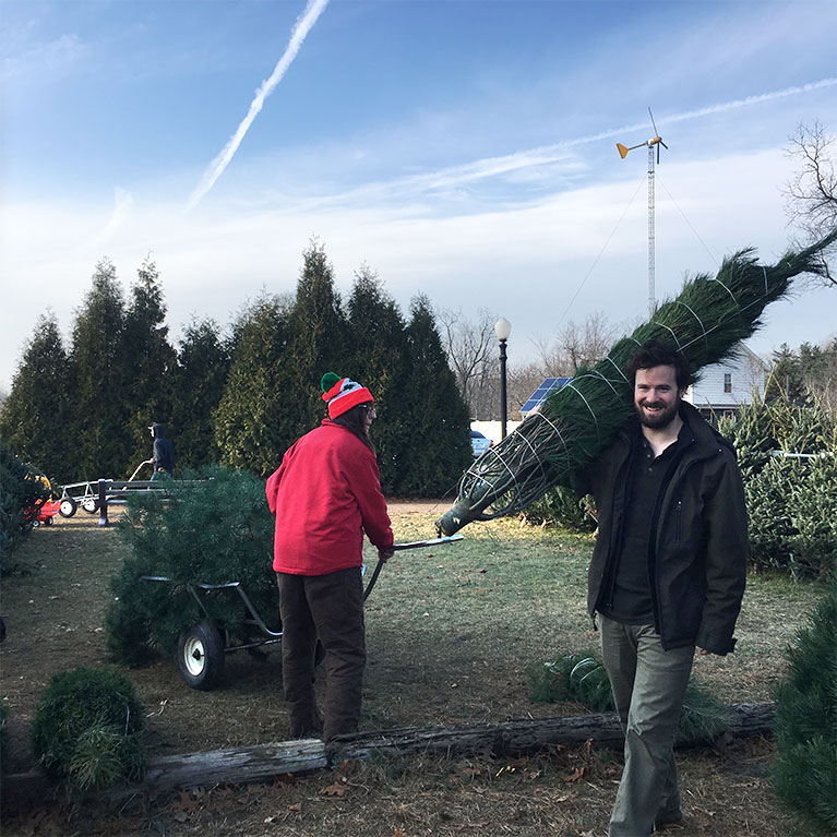 Services & Products St. Joe Christmas Tree Farm