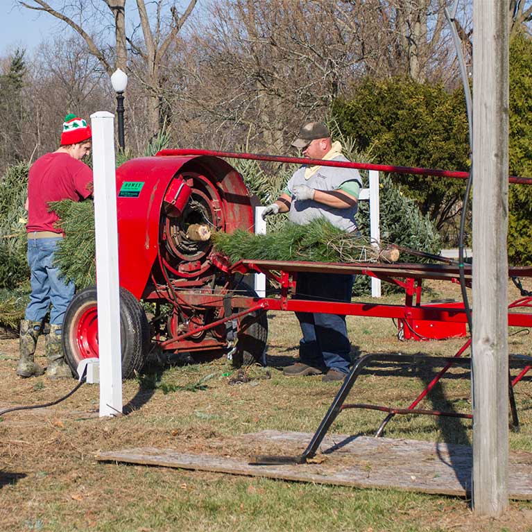 Services & Products St. Joe Christmas Tree Farm