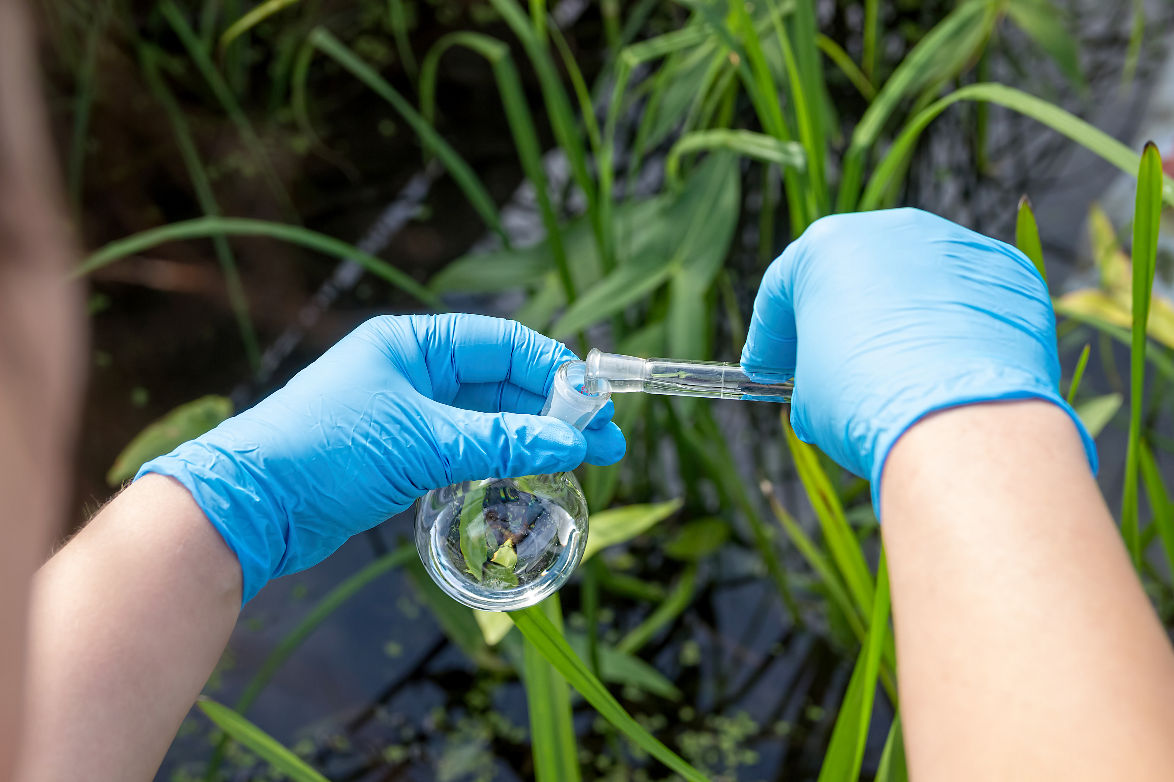 Environmental Sustainability and Decision Making, Master of Arts St