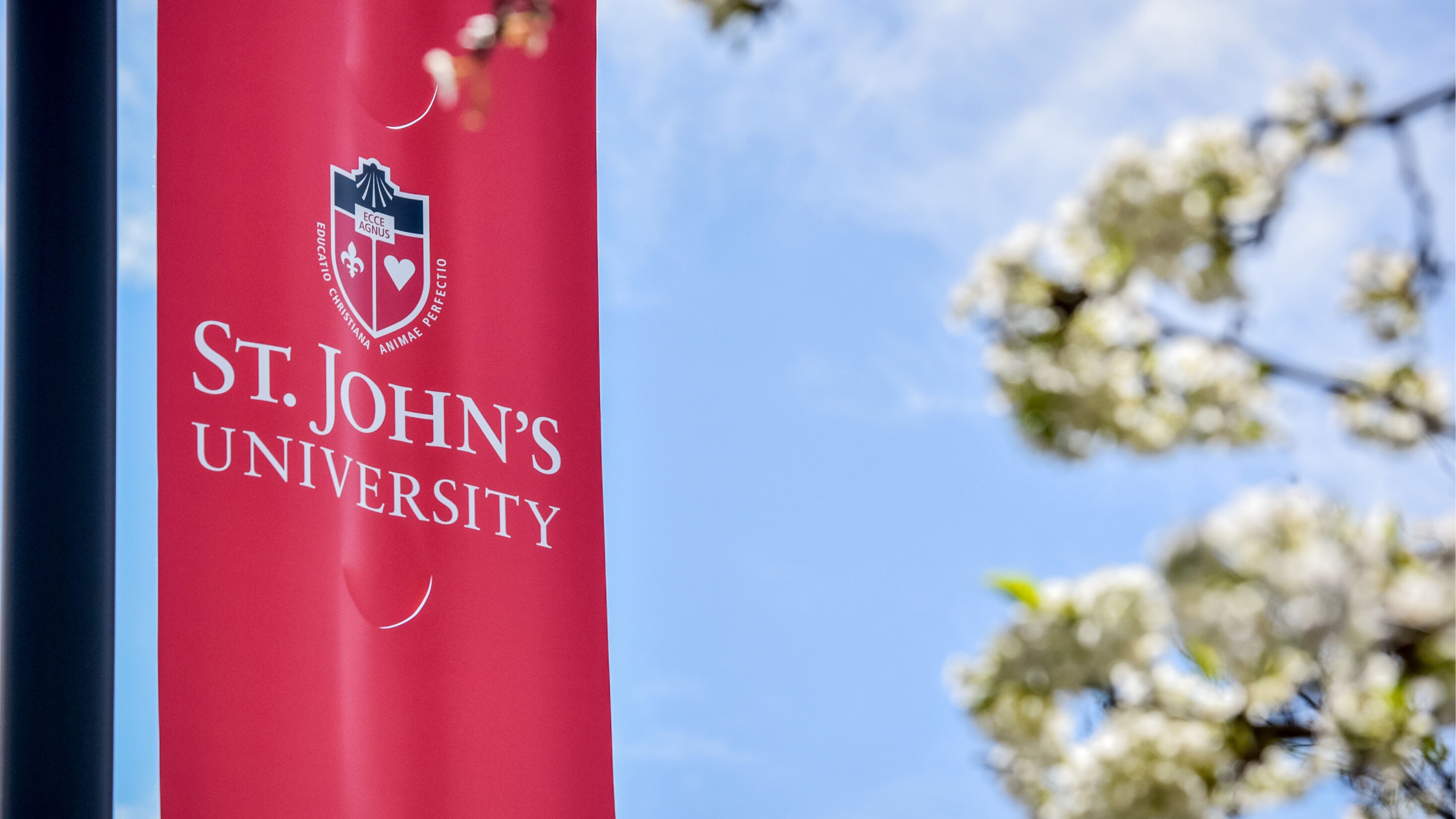 Digital Downloads St John S University