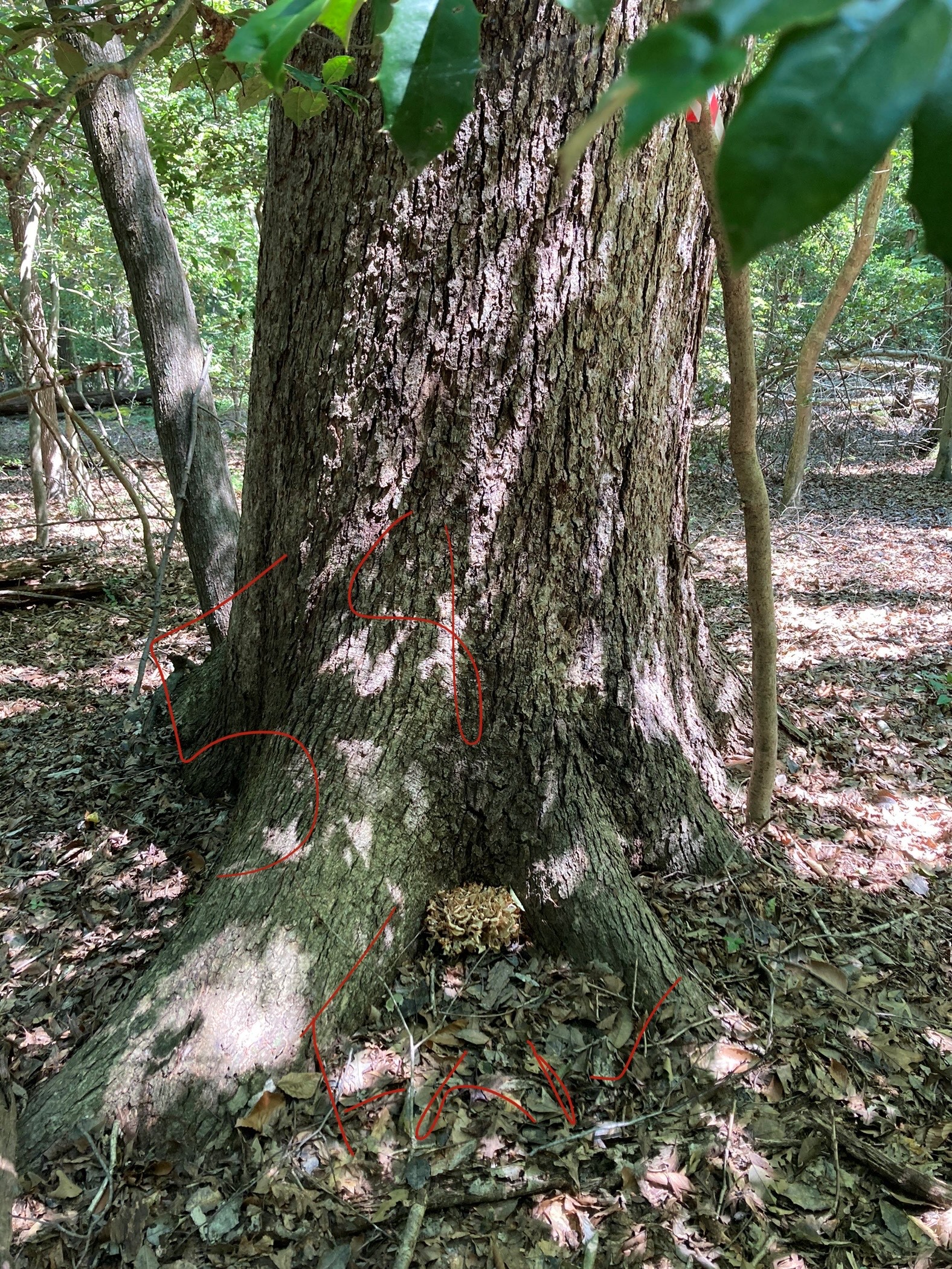 Department of Land Use & Growth Management St. Mary's County, MD
