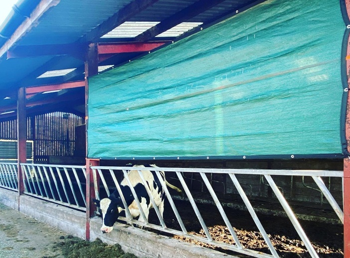 Agricultural Windbreaks - Stock-Guard 