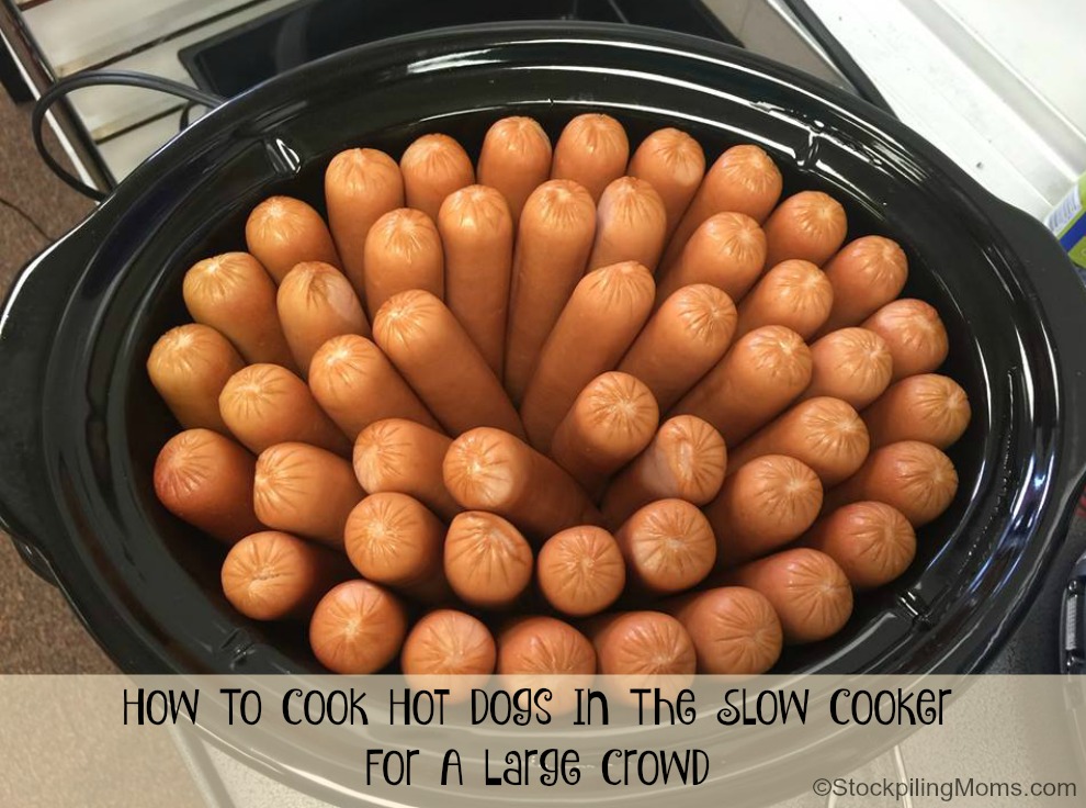 Best 35 Cooking Hot Dogs In Microwave Best Round Up Recipe Collections