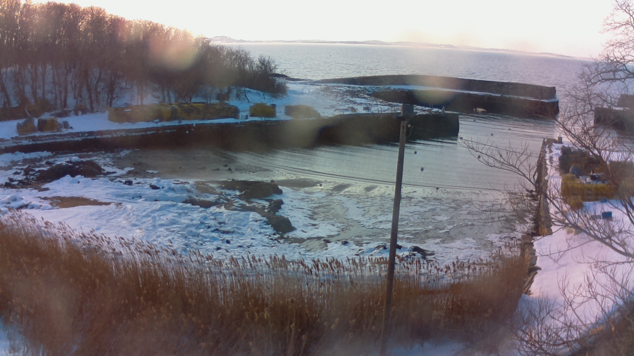 On the Cove cam Lanes Cove, Gloucester, Massachusetts