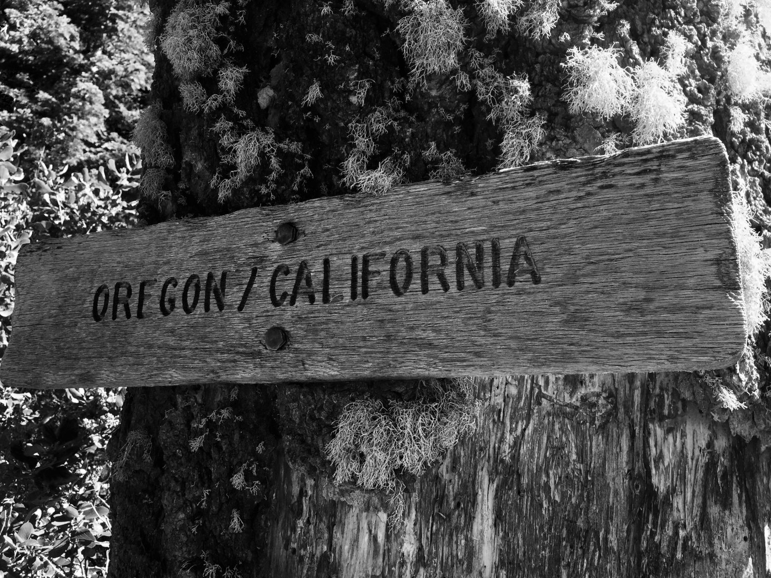 to Oregon Stone and Sky