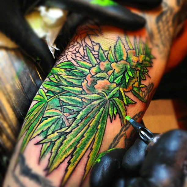 Stoner Tattoos • Featured, Stoner Blog