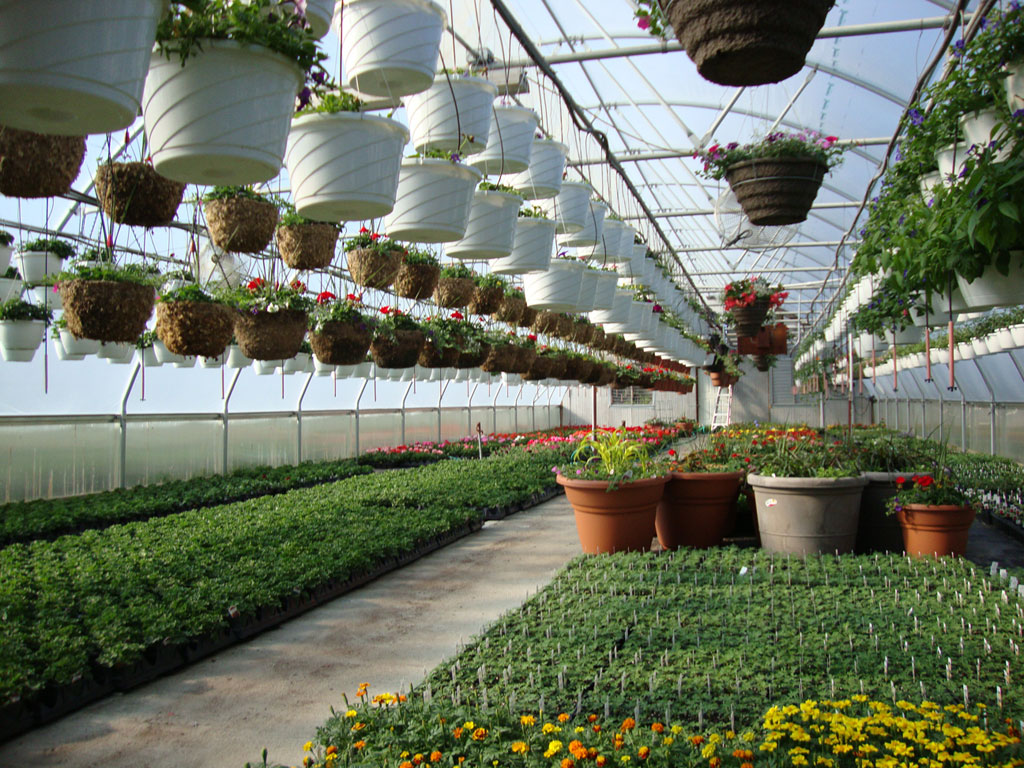 Greenhouse in Butler, MO Stoplight Market