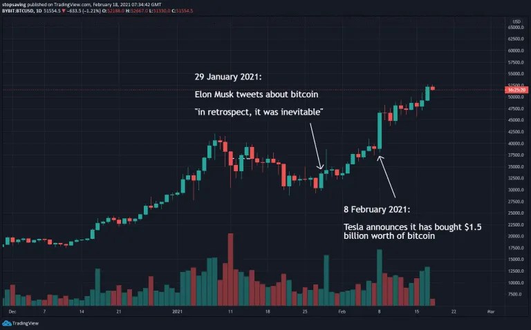 3 Things To Help You Survive The Crypto Bull Market