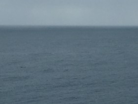 img_3269
