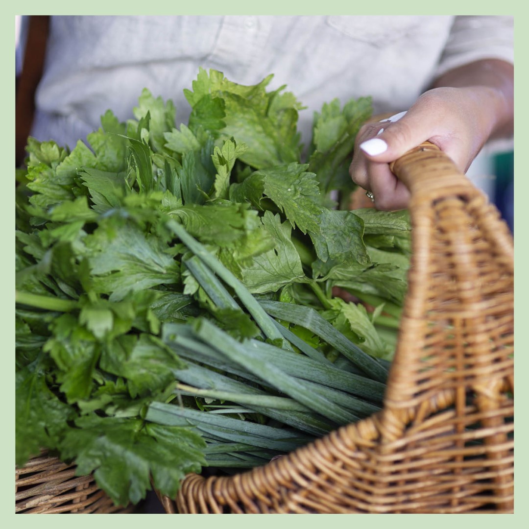 How to store celery in the fridge to keep it fresher for longer