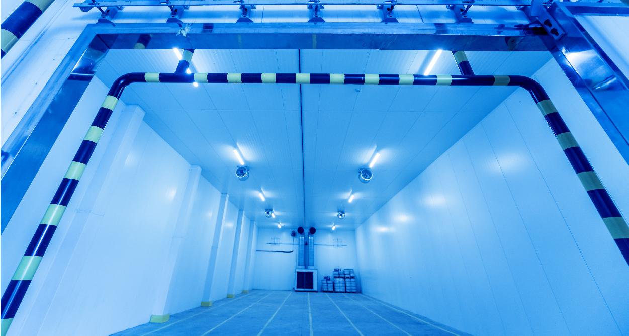 Why you should go for climate storage units in Braunfels, Texas