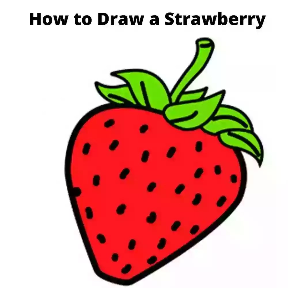 Strawberries Drawing