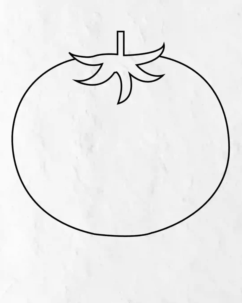 How To Draw Tomato In Simple And Easy Steps Guide