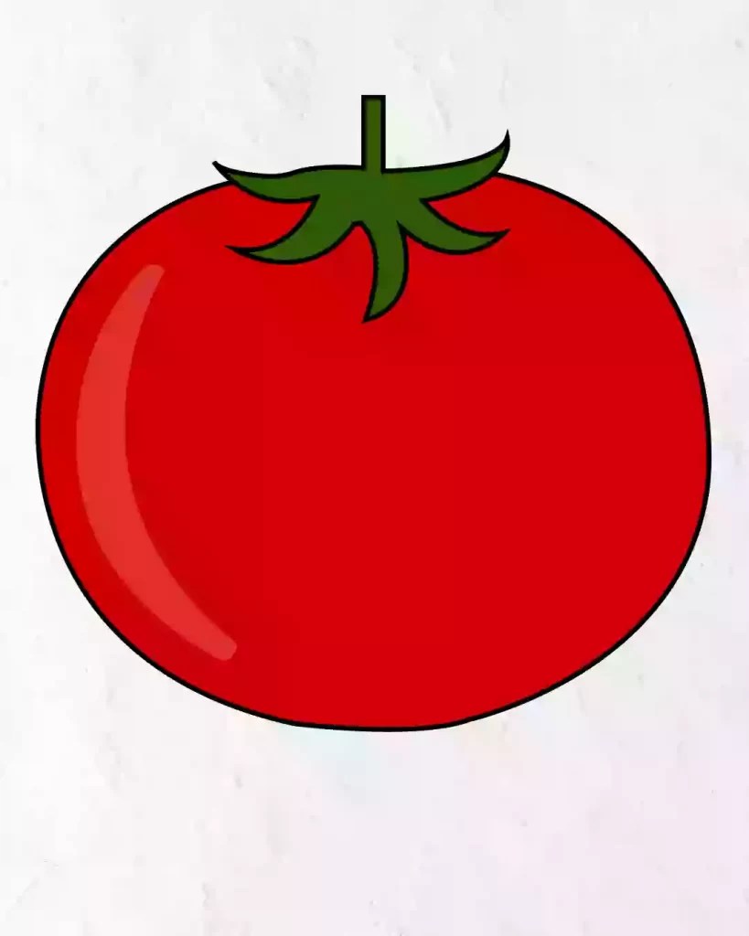 How To Draw Tomato In Simple And Easy Steps Guide