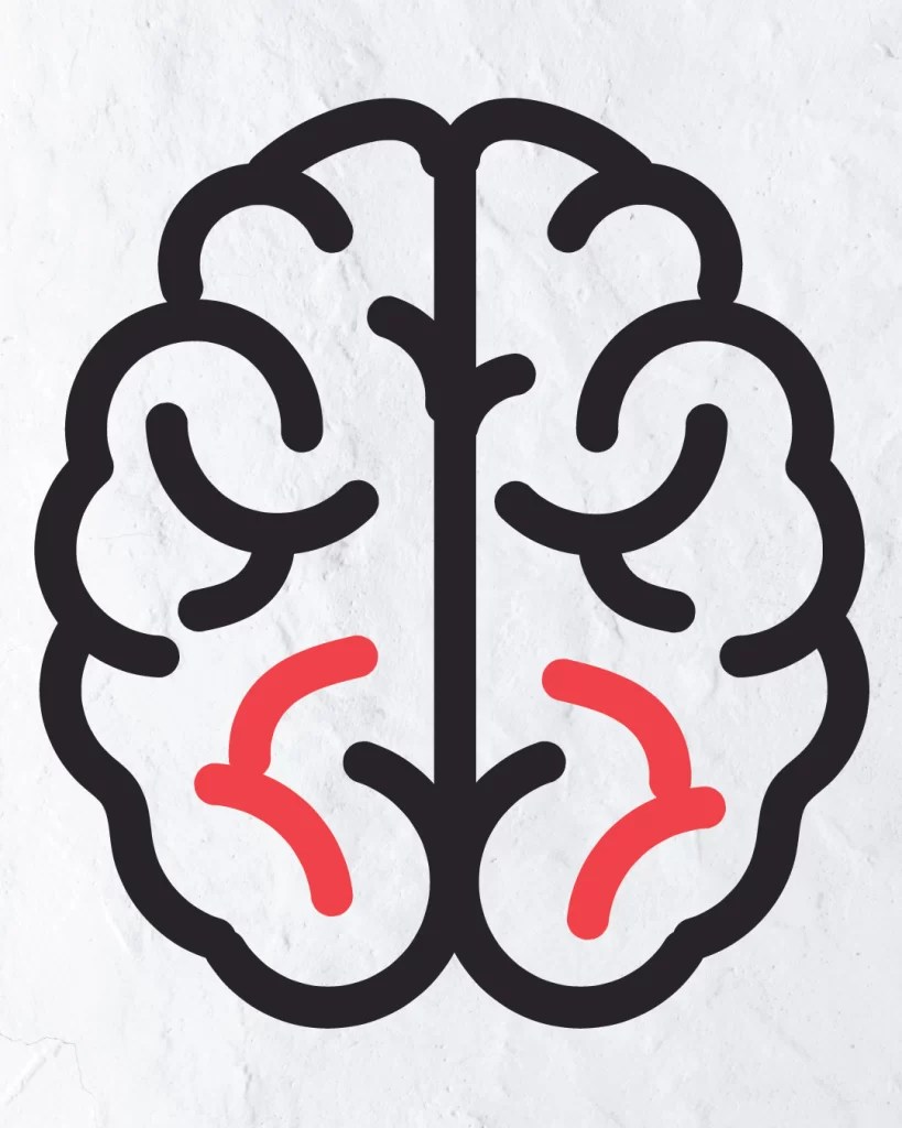 How To Draw Brain In Simple And Easy Step By Step Guide