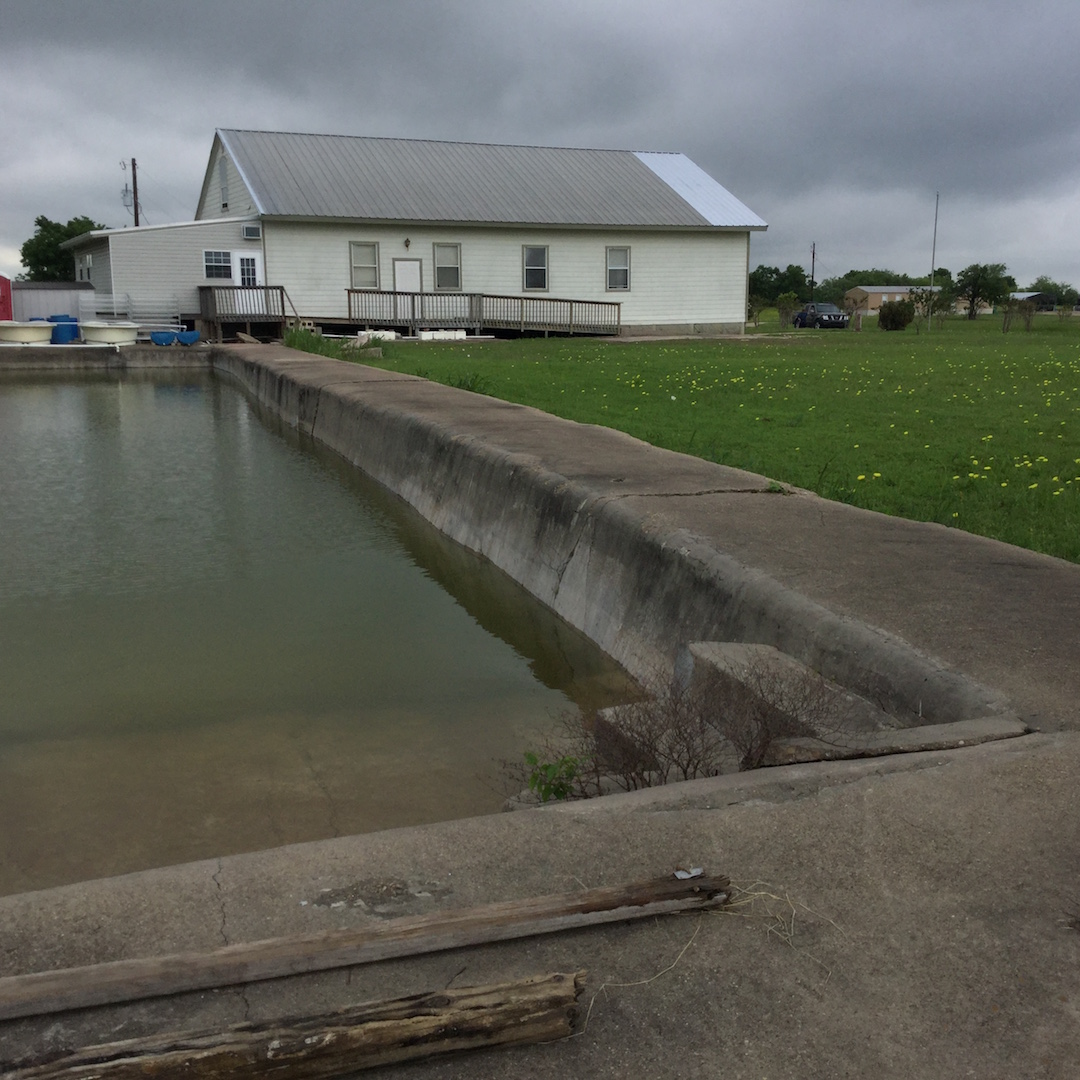Mount Carmel 2017 photos from the annual survivor's memorial in Waco, Texas