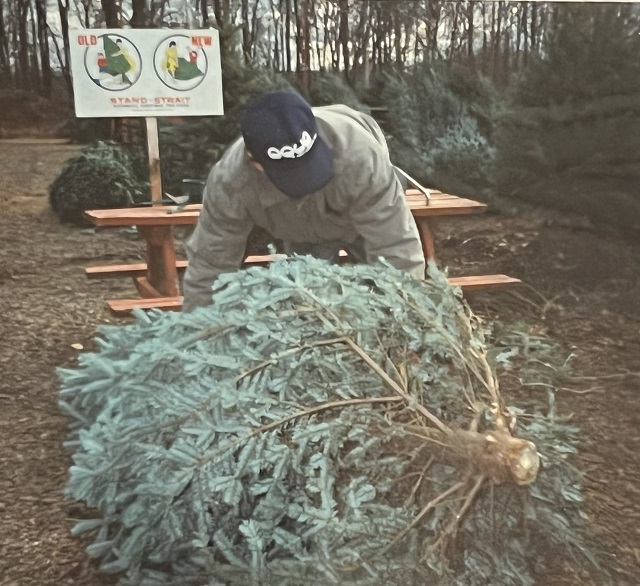 Stout Christmas Trees Wishing you a Merry Christmas since 1964