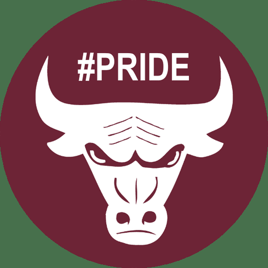 City of South St. Paul and South St. Paul Public Schools adopt new core values