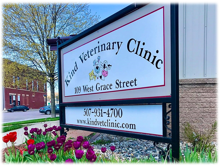 Kind Veterinary Clinic St. Peter Chamber