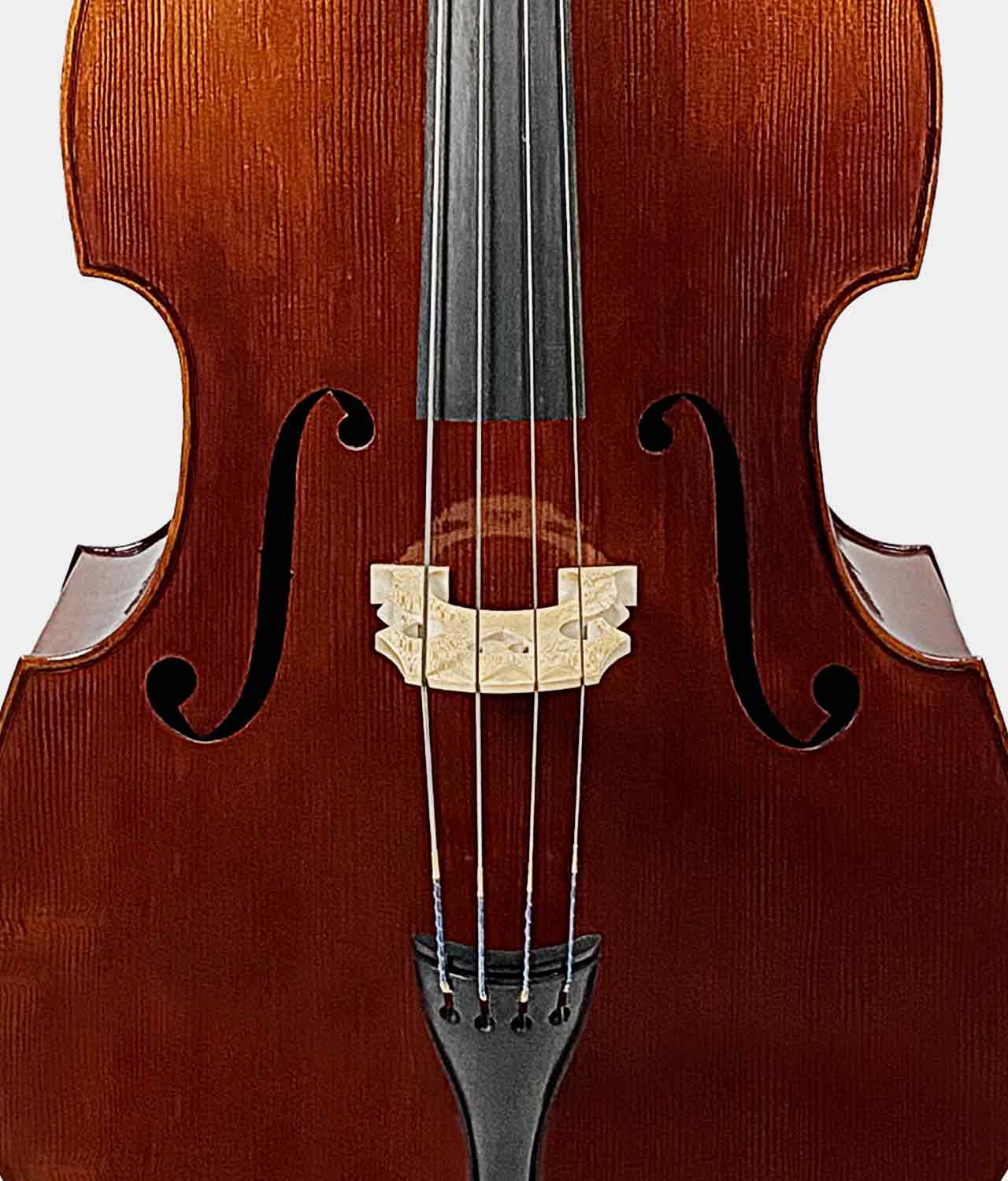 Advanced Bass Rental Antonio Strad Violin