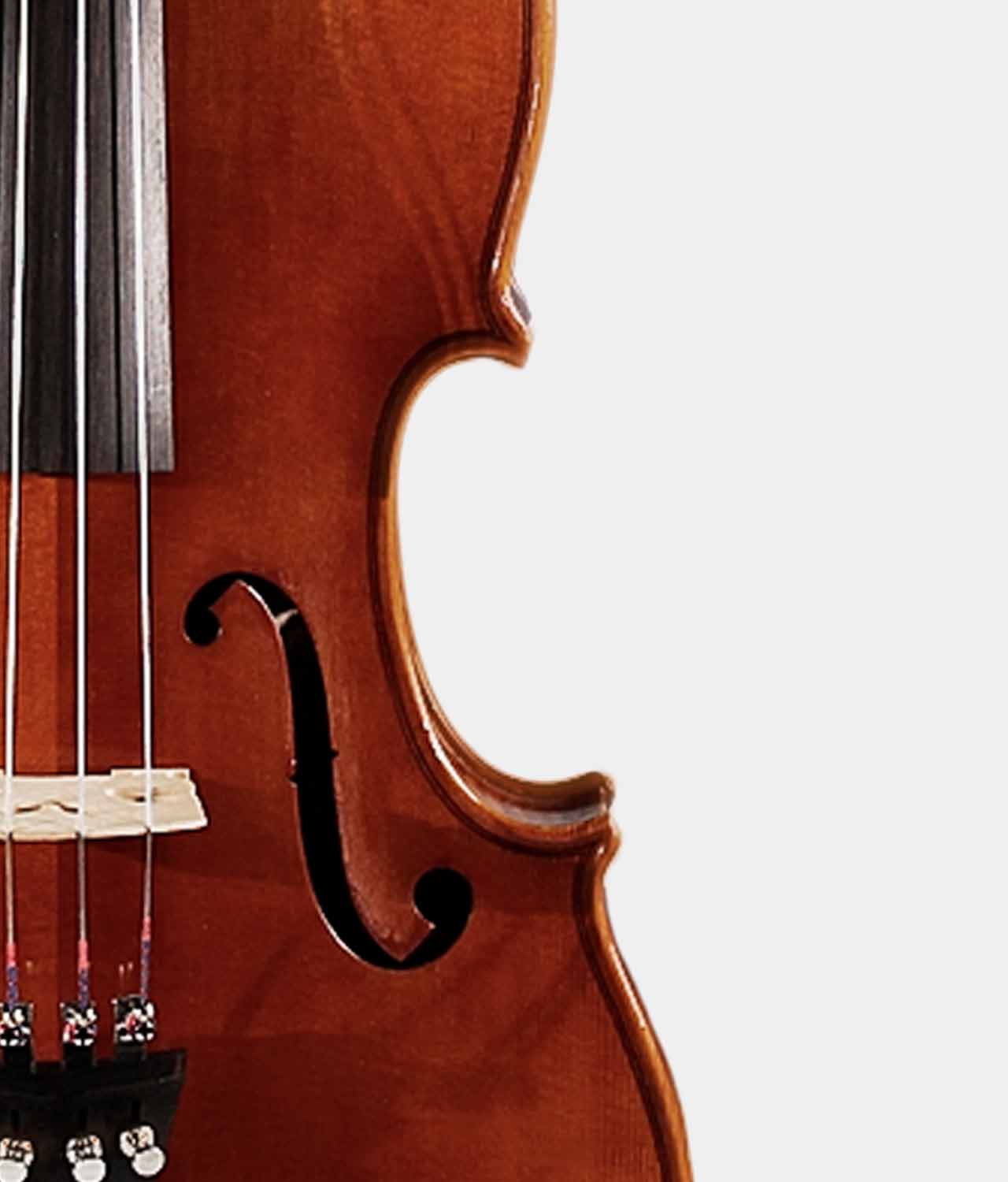 Standard Viola Rental Antonio Strad Violin