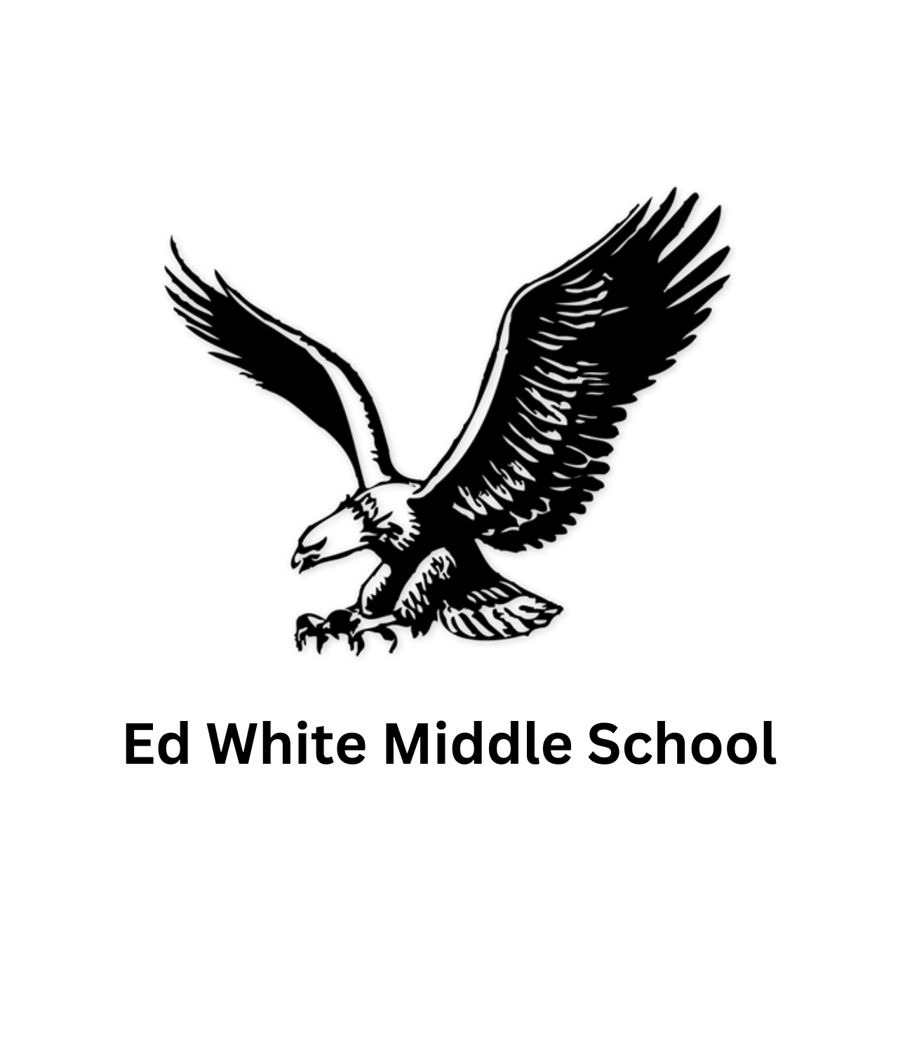 Cello Rental Antonio Strad Violin