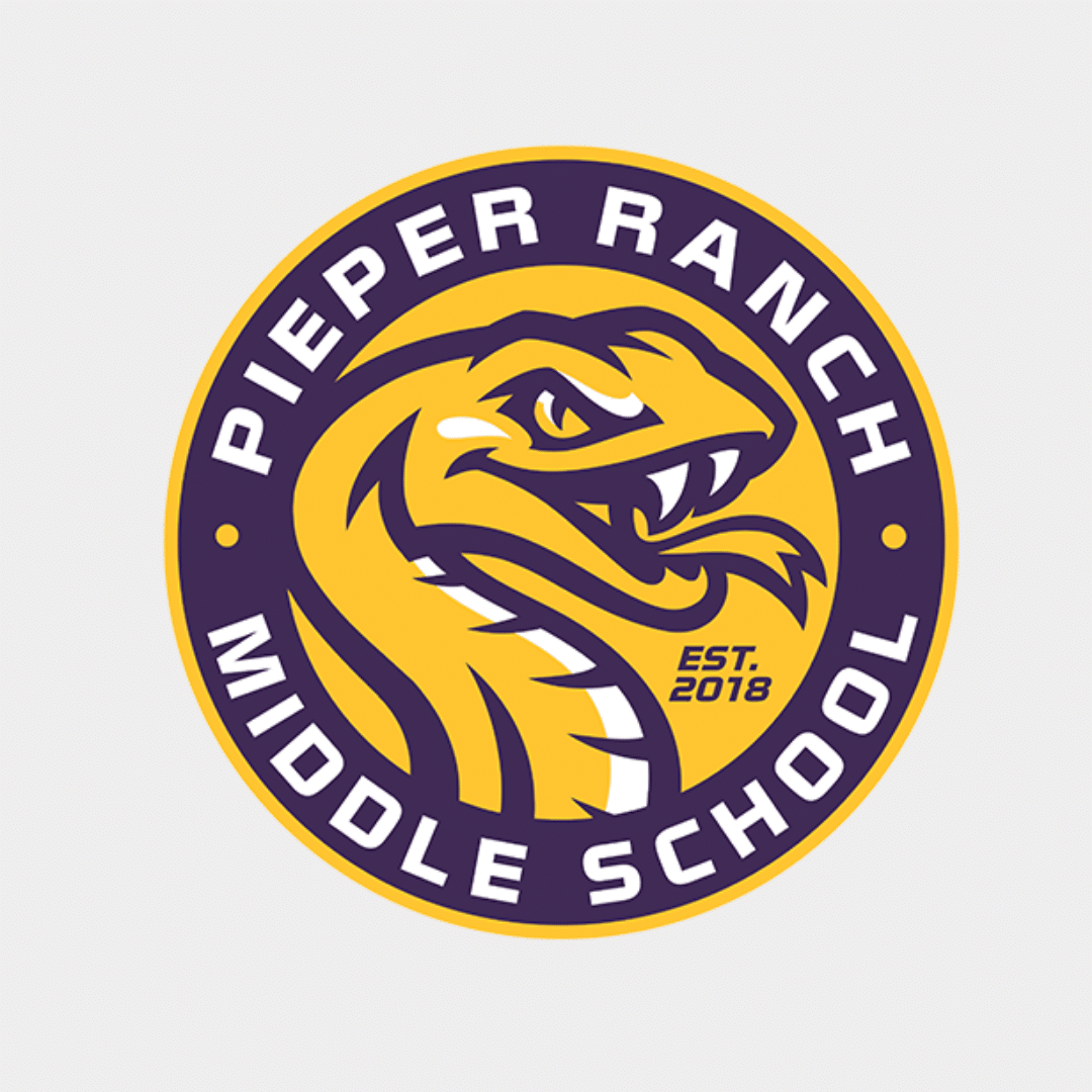 Violin Rental Antonio Strad Violin