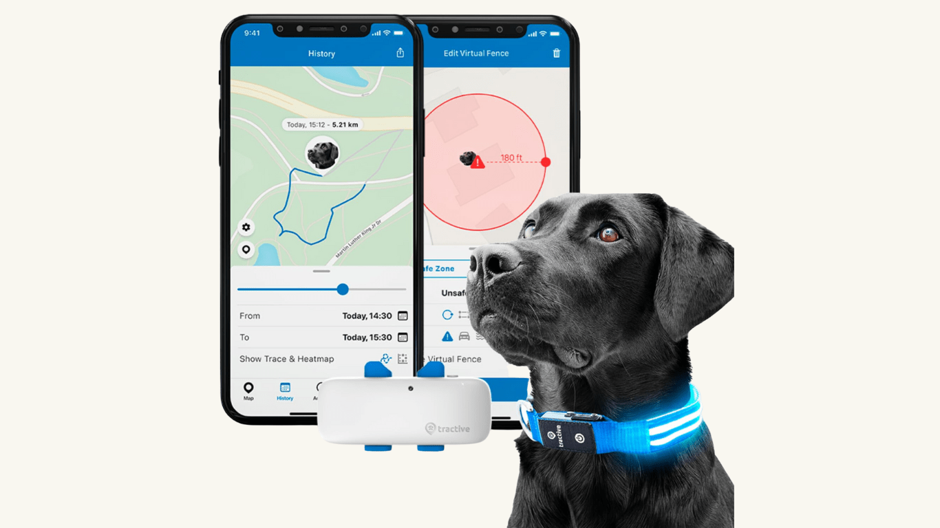 Top 8 Best Dog Tracking Collars for Keeping Tabs on Your Canine