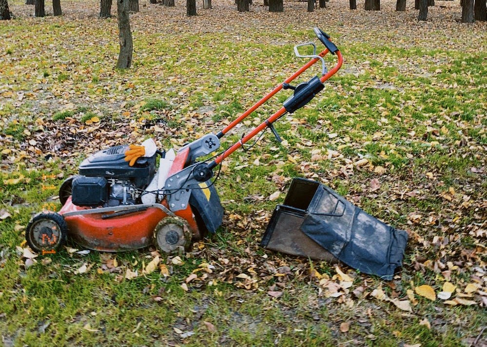 Top 6 Best Electric Push Mowers in 2024