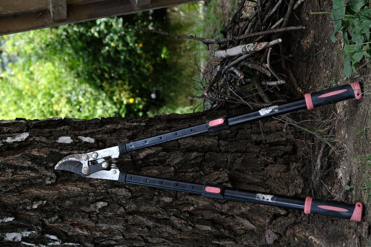 Top 6 Best Tree Loppers in 2024