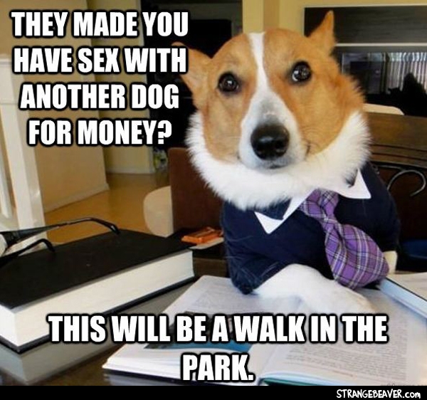 Lawyer Dog Meme Strange Beaver