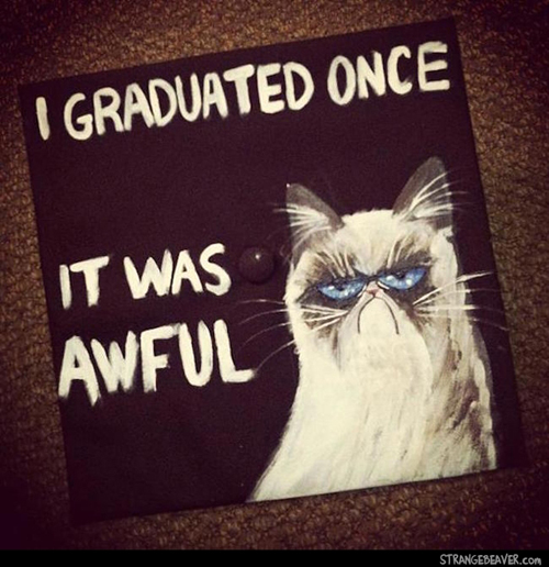 Funny Graduation Caps Strange Beaver