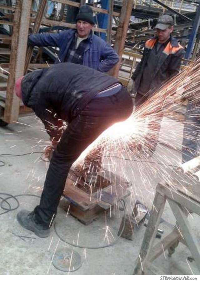 Work Safety Fails Strange Beaver