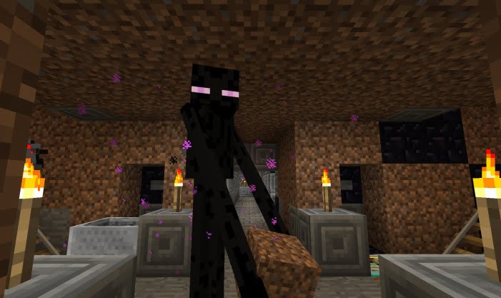 The Madness Of Minecraft