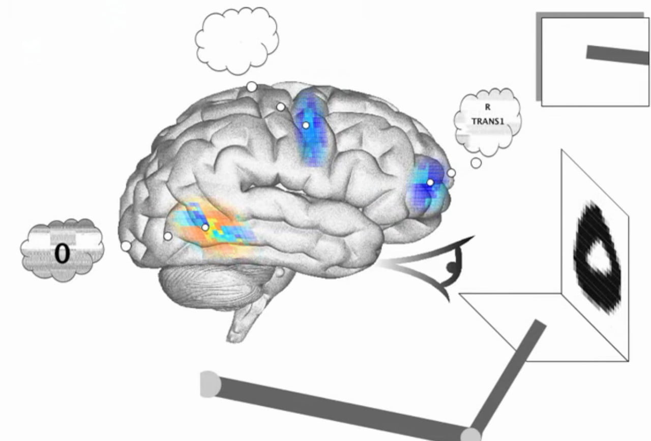 Scientists Develop Most Complex HumanLike Brain Simulation