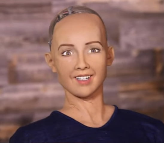 Sophia, the Robot that Will Destroy All Humans Stranger Dimensions