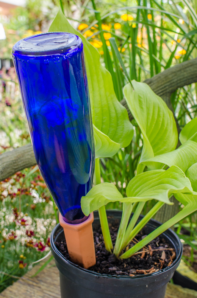 3 Easy Ways to Water Your Plants While You're Away Strange's Florists