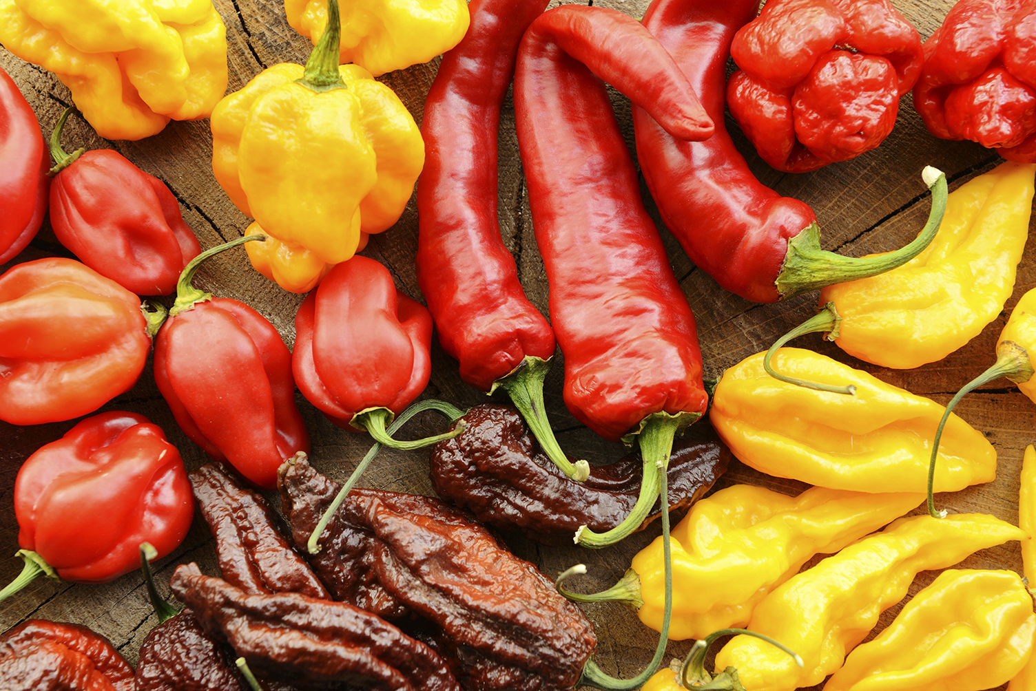 Hot Peppers & How To Grow Them Strange's Florists, Greenhouses and