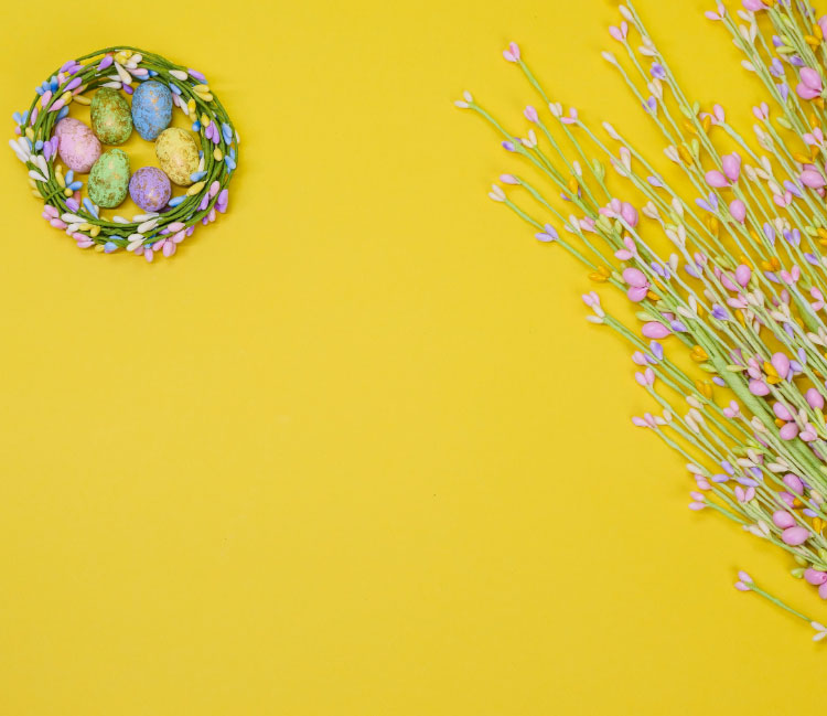 St Raphael Resort Blog Article