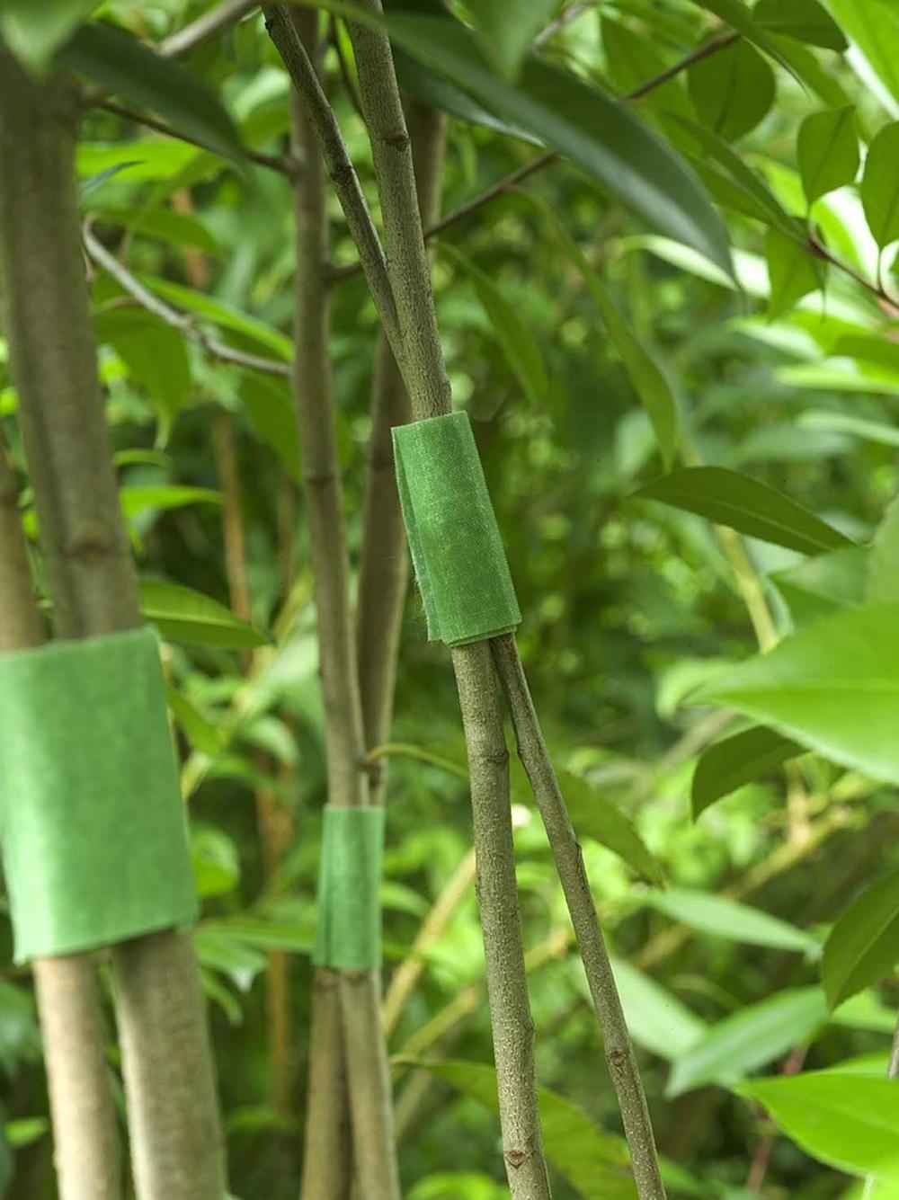 hook loop warp plant ties, hook and loop fastener, hook and loop tape