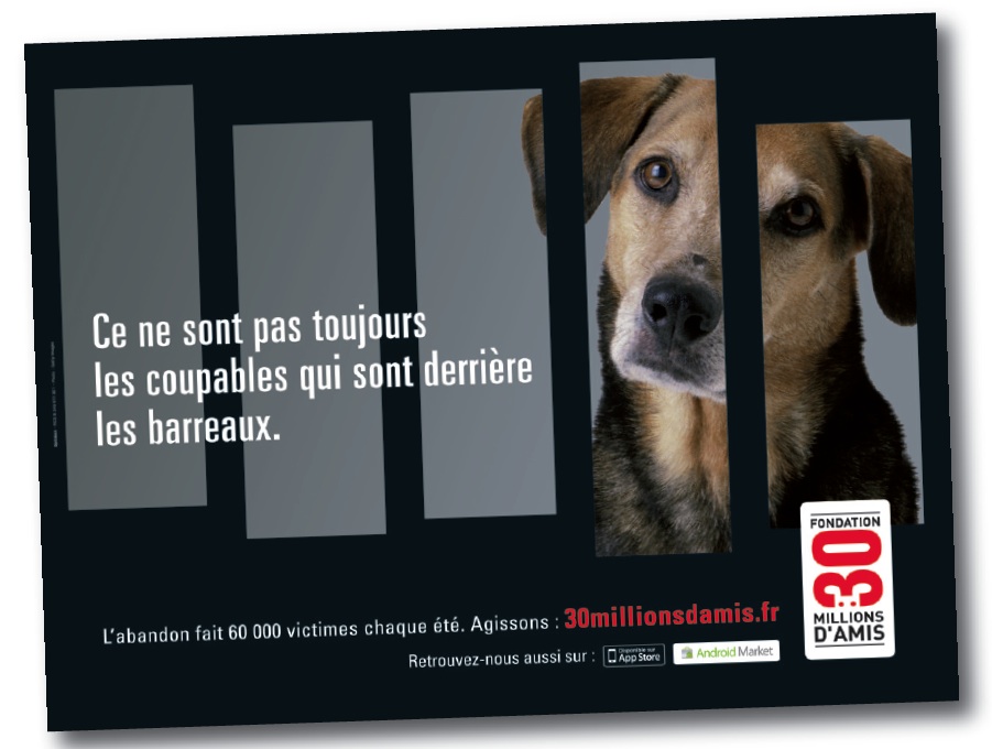 Fondation 30 millions d'amis lutte contre l'abandon d'animaux juin