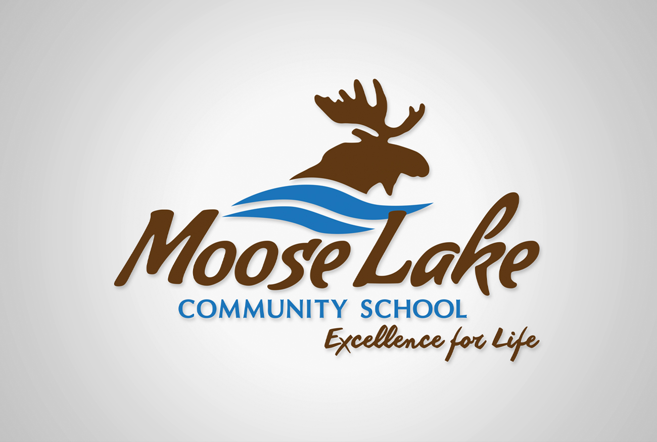 Moose Lake Community School Strateligent