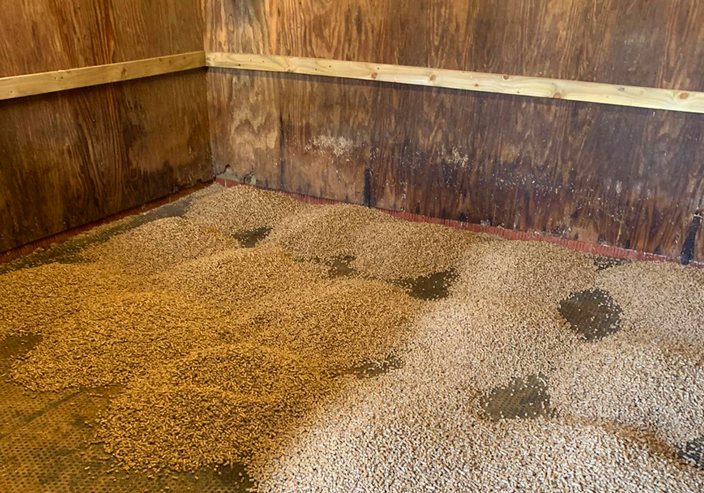 Buy Straw Pellets Pellets Direct