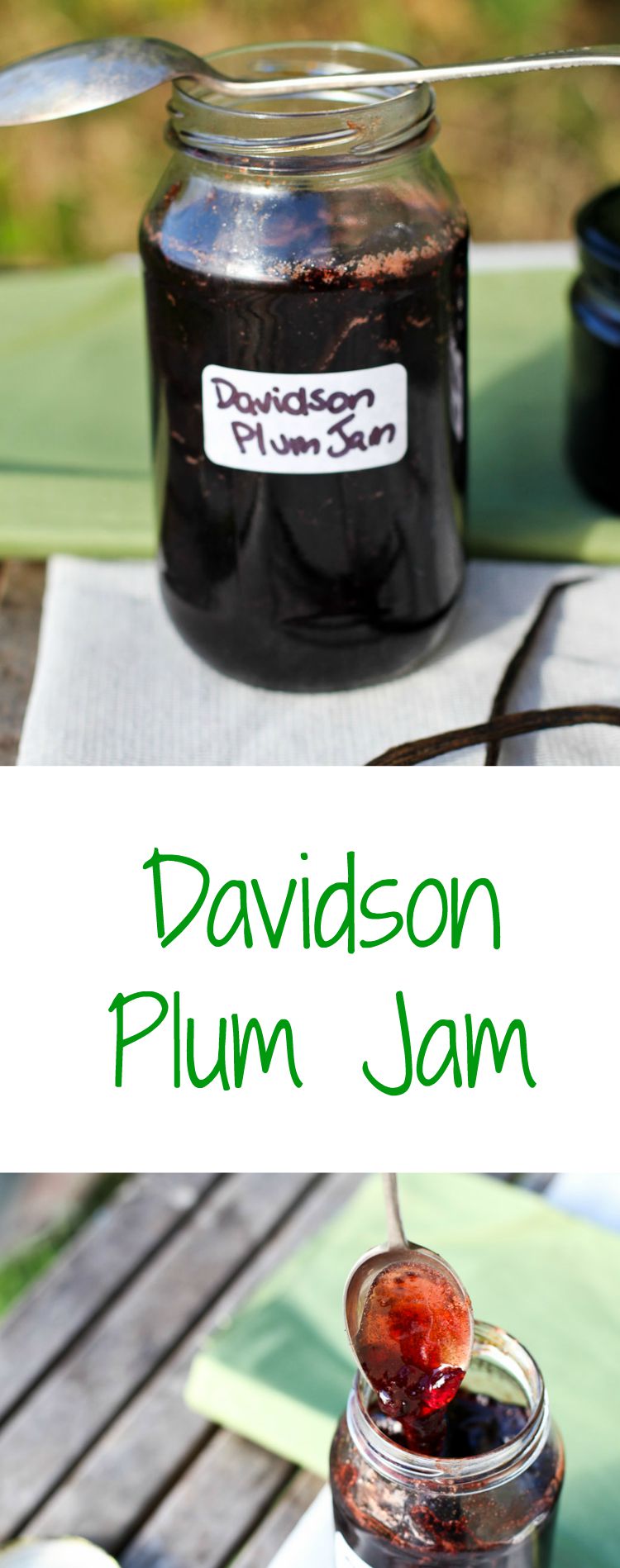 Davidson Plum Jam Recipe Strayed from the Table