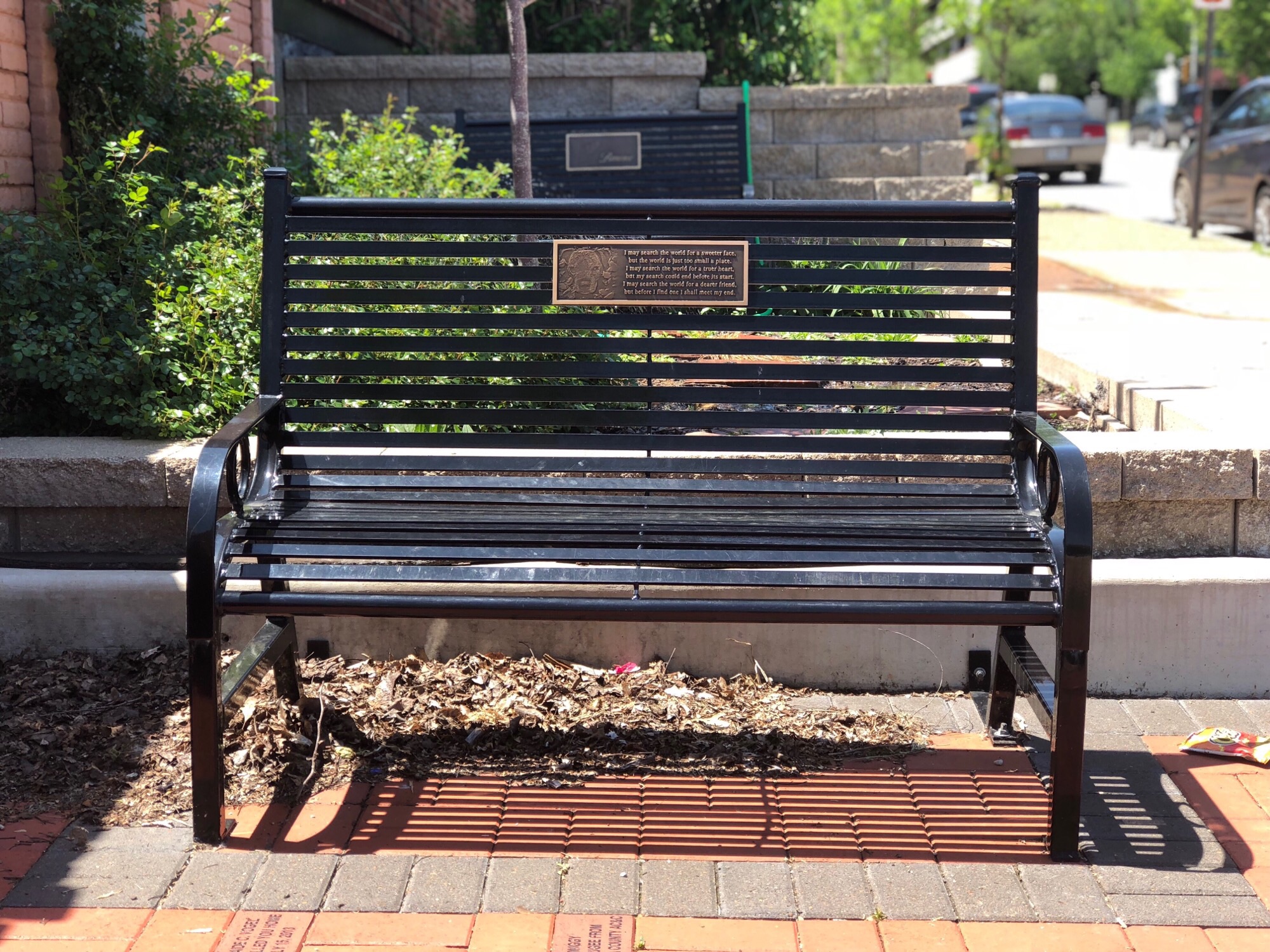 Stray Rescue of St. Louis Memorial Bench