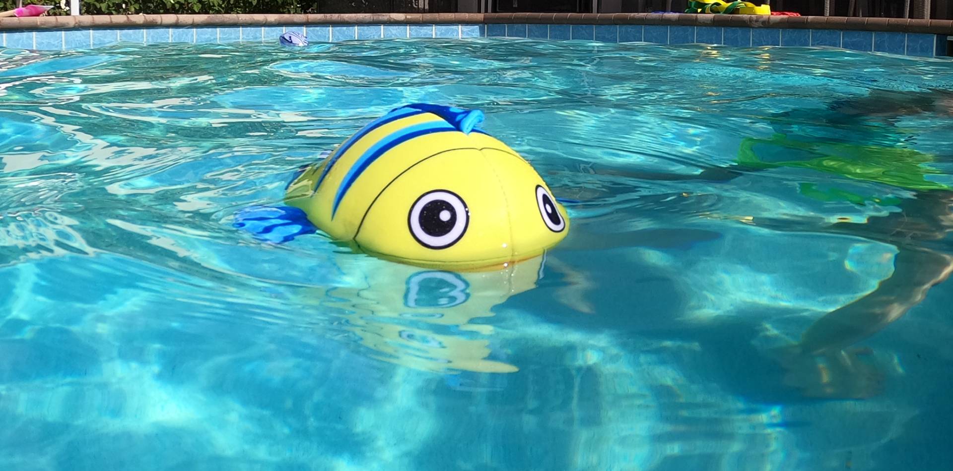 Fish Toy Floating Pool Toy Ball Water Sports, LLC