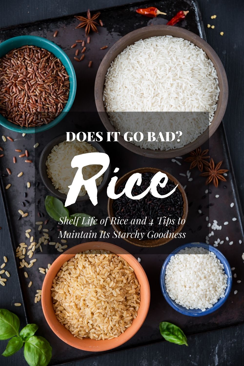 Does Rice Go Bad? 4 Tips to Maintain Its Starchy Goodness