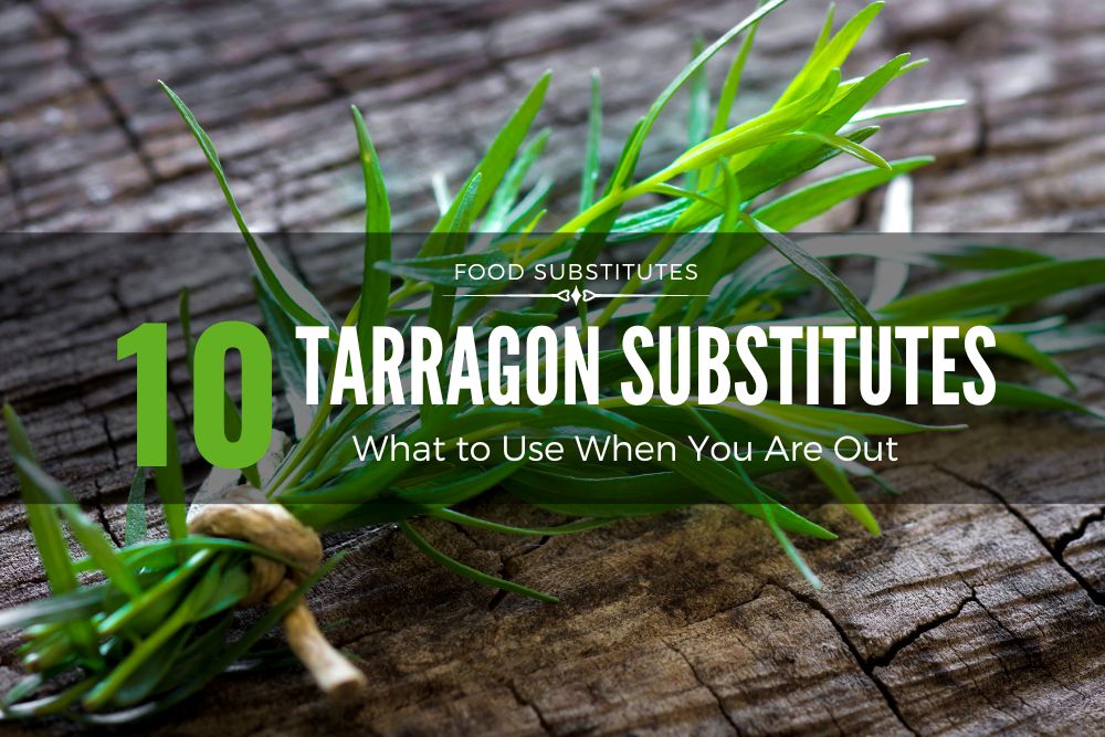 10 Best Tarragon Substitute Options StreetSmart Kitchen