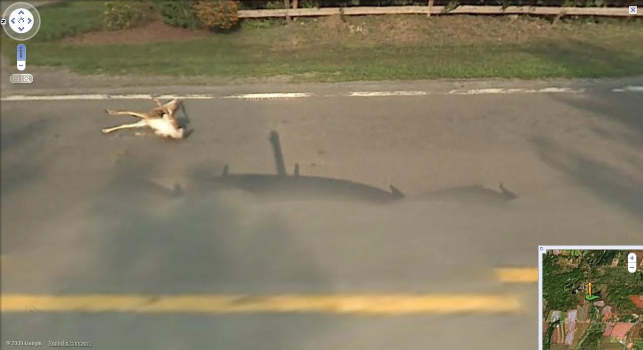 Google Street View kills Bambi StreetViewFun